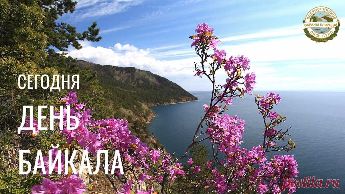 В Иркутске и регионе проходят мероприятия, посвященные Дню Байкала, можно пригласить друзей на них.