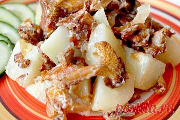 Лисички с картофелем — БЛИНЧИК