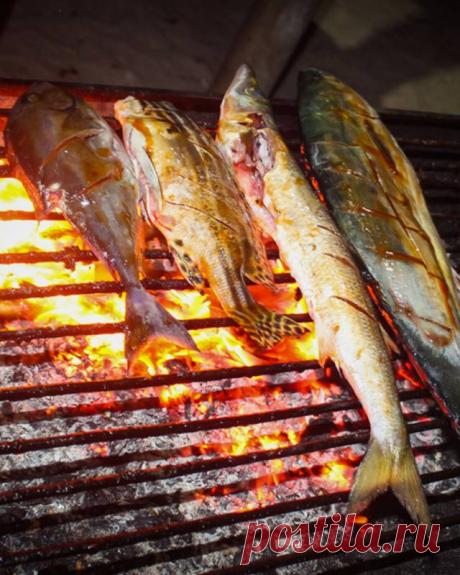 Рецепты рыбных блюд барбекю — Домашняя кулинария