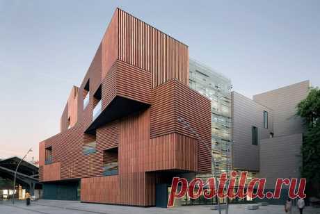 "LA MASSANA” FINE ARTS SCHOOL | ESTUDIO CARME PINÓS The Massana School forms part of the long transformation process of the Gardunya Square, situated in the heart of Barcelona&rsquo;s historical...