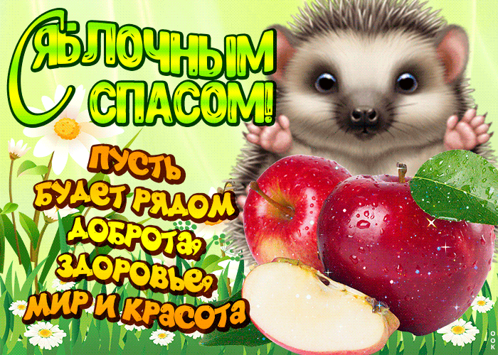 С Яблочным Спасом, друзья, поздравляю,
Светлых надежд и успехов желаю.
Достатка, урожая и терпения,
Благополучия и настроения.