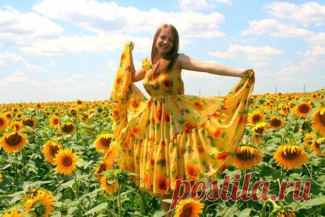 Подсолнухи