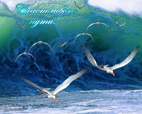 Россия никогда НЕ «стерпится и слюбится»С рабской идеологией! – НОВАЯ ЗЕМЛЯ.РАССВЕТ., пользователь АЛЁНА ПОДХАЛЮЗИНА | Группы Мой Мир