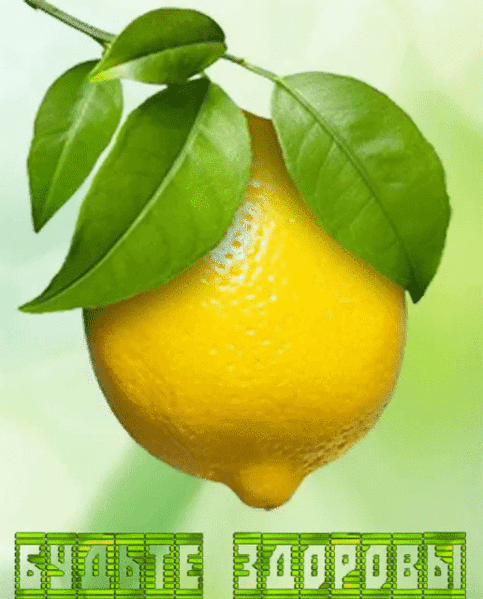 Мой Мир@Mail.Ru