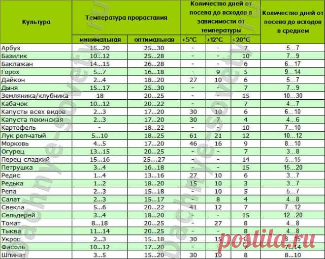 Сколько дней всходят семена перца, баклажана, томата - всех овощей
