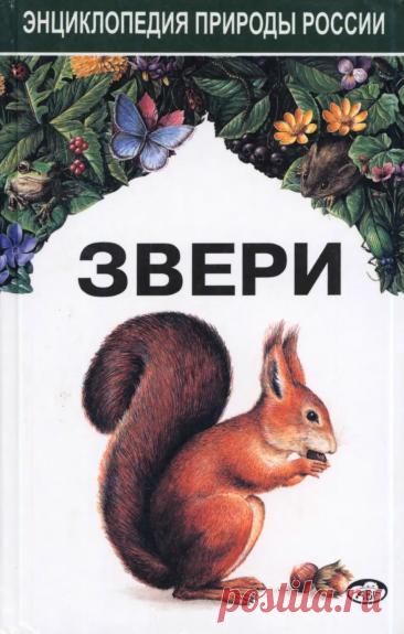 Звери. Энциклопедия природы России - Динец В., Ротшильд Е. - 1996