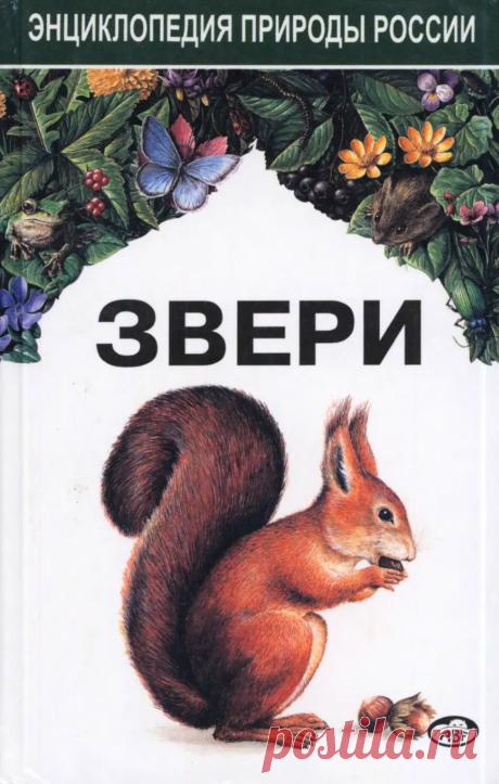 Звери. Энциклопедия природы России - Динец В., Ротшильд Е. - 1996