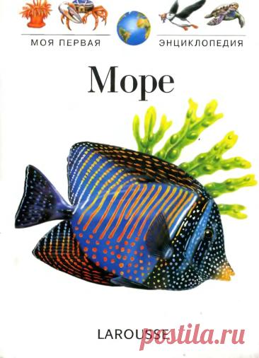 Моя первая энциклопедия. Море.