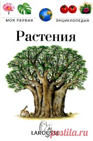 Растения. Моя первая энциклопедия - Фюсте Фабьен