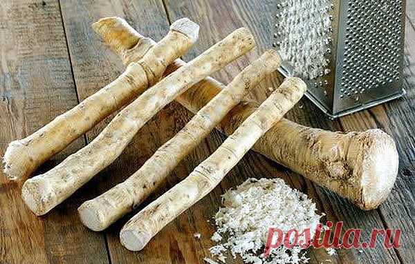 САМОЕ МОЩНОЕ БАБУШКИНО СРЕДСТВО ДЛЯ ПАМЯТИ! УЛУЧШАЕТ ЗРЕНИЕ, СЛУХ И ЯСНОСТЬ УМА ДАЖЕ В… — Домашние заботы