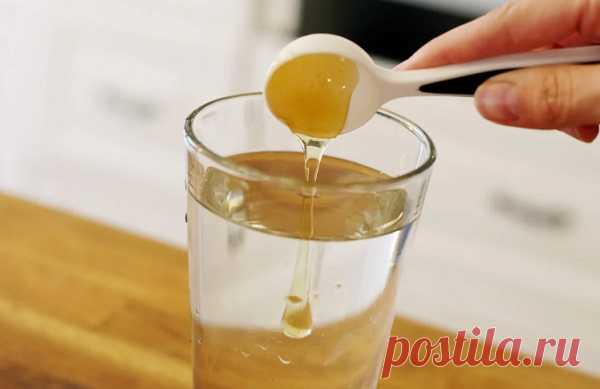 Медовая вода изгонит паразитов, поможет похудеть и многое другое — Домашние заботы