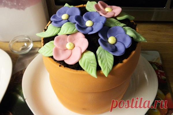 Торт Цветы в горшочке — ДОМАШНИЕ