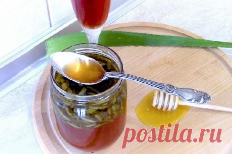 АЛОЕ, МЁД И КАГОР — ЭТА СМЕСЬ «ВОСКРЕСИТ» ДАЖЕ МЕРТВОГО! ТЕПЕРЬ ВОВЕК МЕНЯ НЕ ЗАБУДЕШЬ! — Домашние заботы