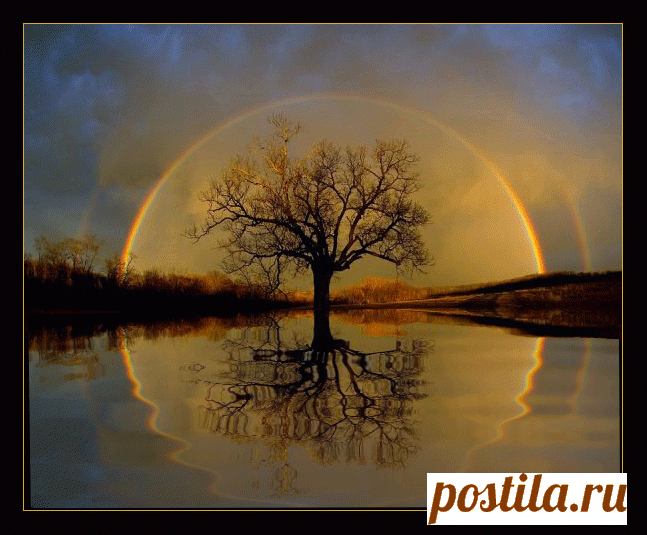 elrey delmundo - via-elreydelmundo-pixelhubme – Savee