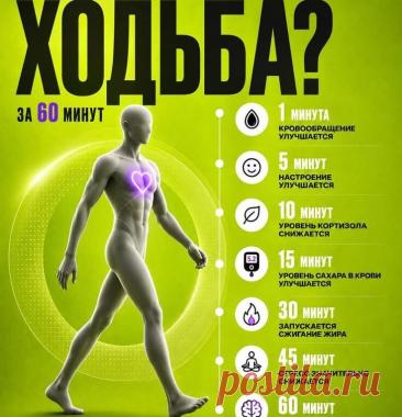 Один час ходьбы: что получает ваш организм за 60 минут