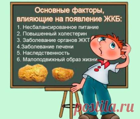Причины желчекаменной болезни (ЖКБ). Меры профилактики