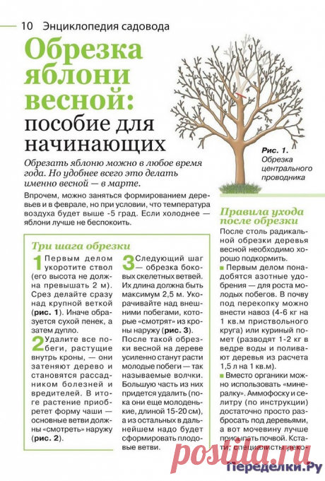 Садовод и огородник 4 2022 * Переделки.РуПеределки.Ру