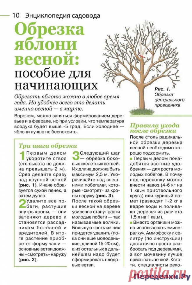 Садовод и огородник 4 2022 * Переделки.РуПеределки.Ру