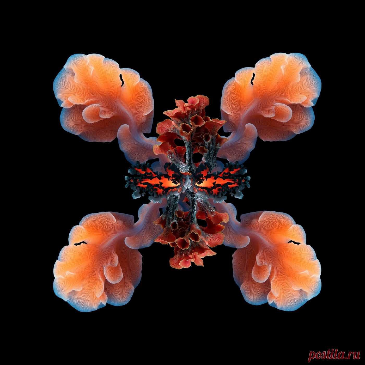 VA - Symbiosis Three IMPRSSM030B1 » MinimalFreaks.co