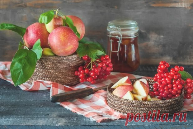 Джем из яблок и калины — Journal women