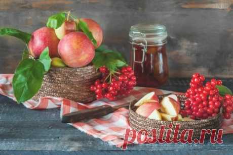 Джем из яблок и калины — Journal women
