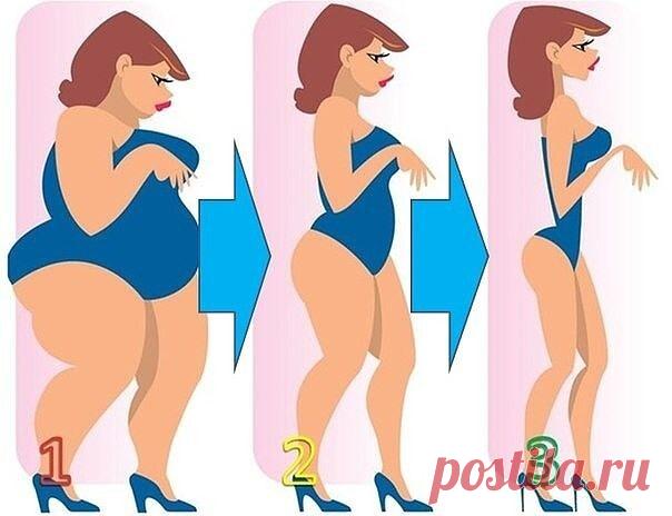 Диета «ЛЕСЕНКА»: худеем поэтапно — Домашний уют