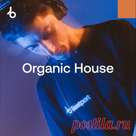 Secret Weapons 2026 - Organic House » MinimalFreaks.co