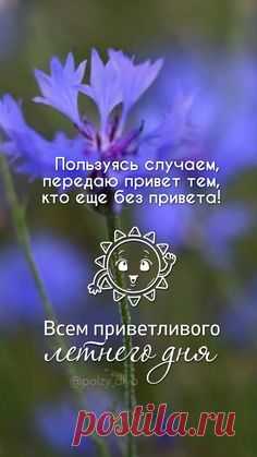 Pin Сегодня 17 Июля и завтра 18 Июля - оригинальные дни, перед...
Присоединяйтесь к нашей группе в Telegram, чтобы получать быстрые ответы на вопросы о ФэнШуй, Бацзы и ЦиМень.

**Весёлая инструкция по выживанию в ретро-Меркурии**
❗️ Немного рекомендаций:

- 🚫 Не пытайтесь совершить масштабные путешествия в дни разворота Меркурия (18 июля и 11 августа). Это опасные моменты — в такие дни рейс может отменить, билет потеряться, а зарядка телефона...