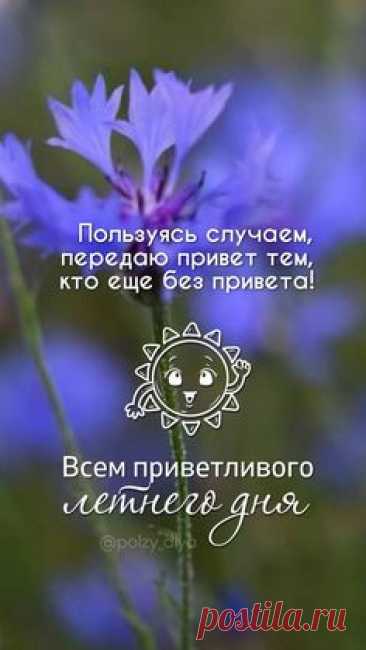 Pin Сегодня 17 Июля и завтра 18 Июля - оригинальные дни, перед...
Присоединяйтесь к нашей группе в Telegram, чтобы получать быстрые ответы на вопросы о ФэнШуй, Бацзы и ЦиМень.

**Весёлая инструкция по выживанию в ретро-Меркурии**
❗️ Немного рекомендаций:

- 🚫 Не пытайтесь совершить масштабные путешествия в дни разворота Меркурия (18 июля и 11 августа). Это опасные моменты — в такие дни рейс может отменить, билет потеряться, а зарядка телефона...