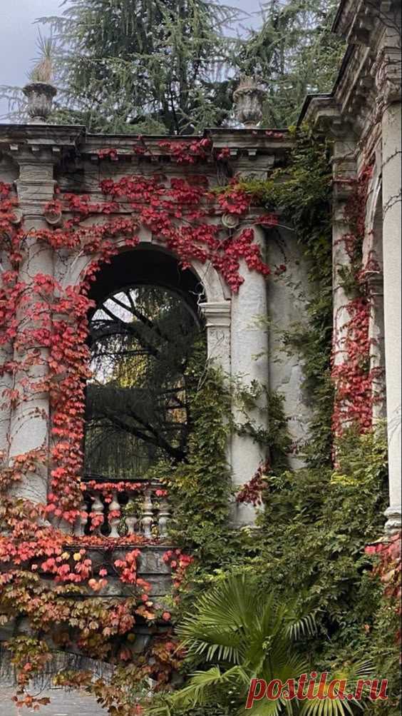 Pinterest