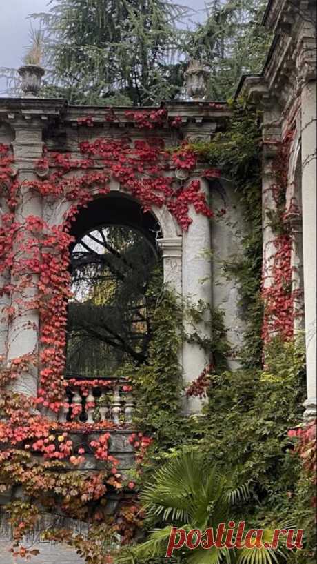 Pinterest