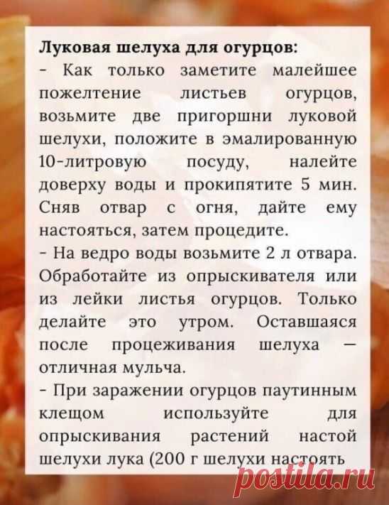 Одноклассники