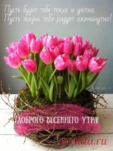 крытки с пожеланиями доброго весеннего утра — это особенный способ подарить близким частичку весеннего тепла и хорошего настроения с самого рассвета. На таких открытках обычно изображают пробуждающуюся природу, распускающиеся цветы, яркое солнце и порхающих бабочек, что создаёт атмосферу свежести и радости нового дня.

Весенние утренние открытки часто дополняются нежными пожеланиями, в которых желают солнечного настроения, лёгкости и вдохновения на весь день. Они могут сод...