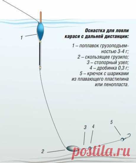Ловля крупного карася ранней весной на фидер, донку и поплавочную удочку