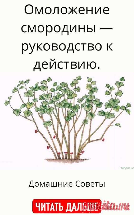 Домашние идеи и советы