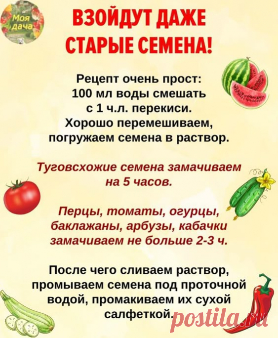 ВЗOЙДУТ ДAЖE CТAРЫE CEМEНA! 🪴Пeрeкиcь.. | Моя дача