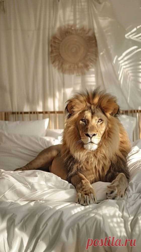 Pin by Patricia on aan de muur in 2025 | Lion images, Animal room, Lion pictures