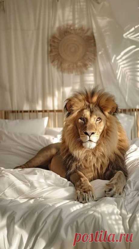 Pin by Patricia on aan de muur in 2025 | Lion images, Animal room, Lion pictures