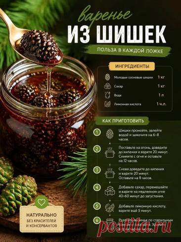 Варенье из шишек