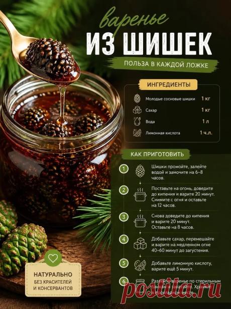 Варенье из шишек