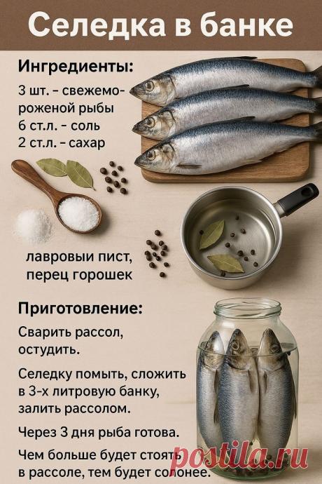 Пин на доске Рыбы