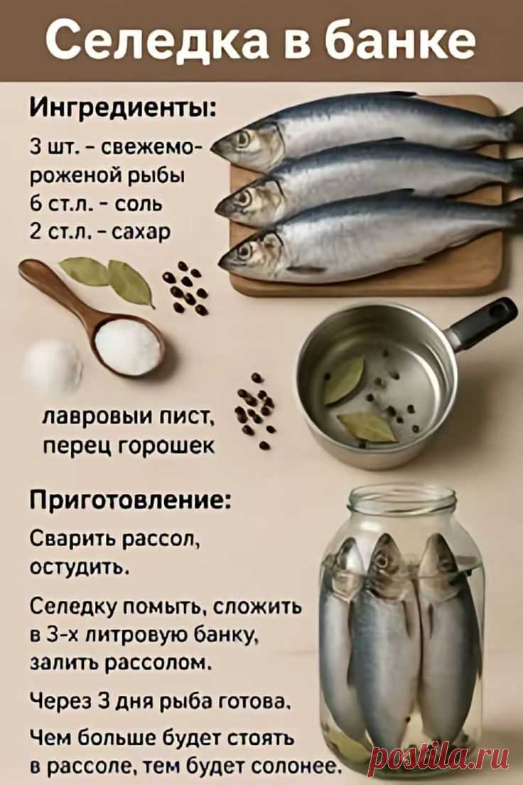 Изображение пина-истории