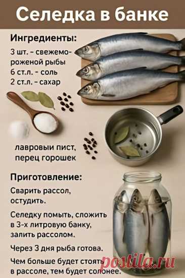 Изображение пина-истории