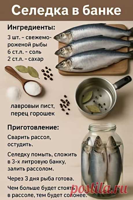 Изображение пина-истории