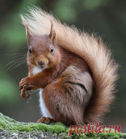 Пин содержит это изображение: