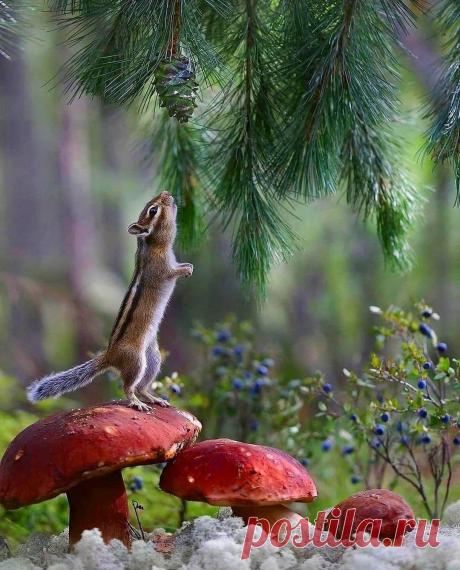 Пин содержит это изображение: olivia on Twitter