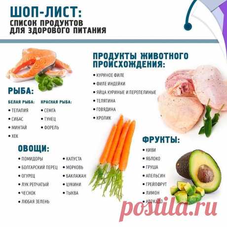 Основа для начала правильно питаться

Именно эти продукты будут фундаментом пп