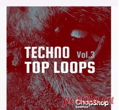 Chop Shop Samples Techno Top Loops Vol 3 [WAV] free download mp3 music 320kbps