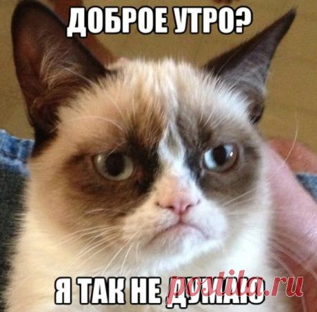 Утро доброе, да не очень. Совсем чуть-чуть до выходных!!!: lorren_dietrich — ЖЖ