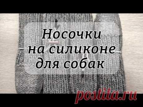 Носочки для собак на силиконе
